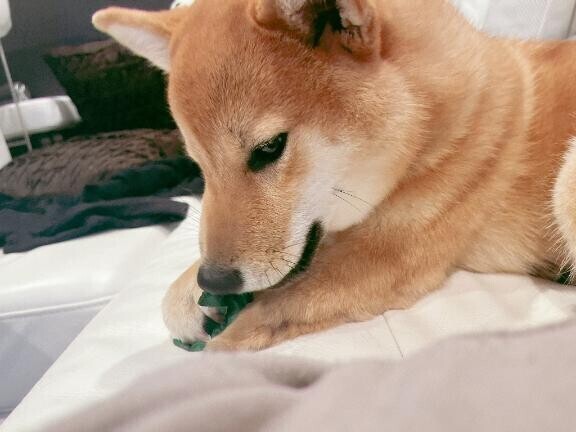 予約のおにいさん?