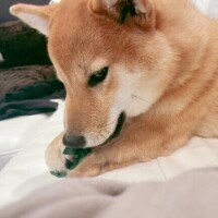 みさ