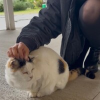プライベート?