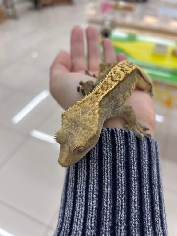 お仕事してますか？