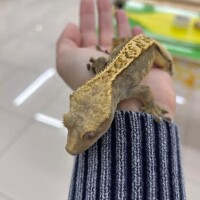 お仕事してますか？