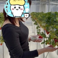 金玉いじる手つきやめれる？