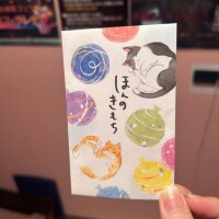 ありがとう?