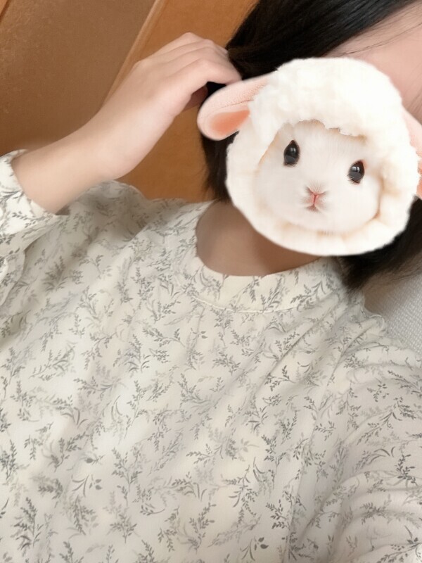 めぇ🐨