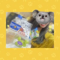 おはよう