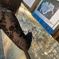 その声は、我が友、李徴子ではないか？