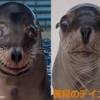 水分とって～