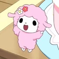 本日も?