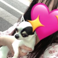 こんぶ