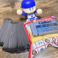 おはようございます?