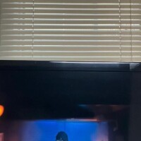 おはようございます??