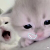 すみません?