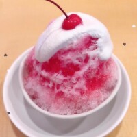 ?おやすみの日?
