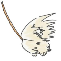 お休みです?