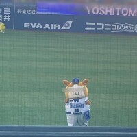 おはようございます?