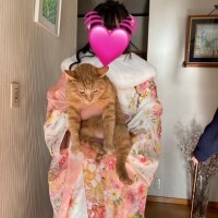 今日います?