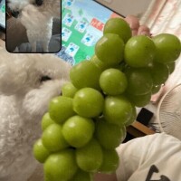 お腹ぺこぺこです?