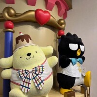 ごめんなさい（ ;  ; ）
