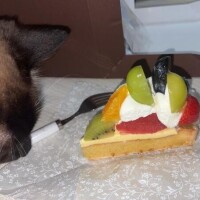 今日はお休みだぁぁ!!