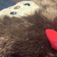 本日ご予約いただいていた方へ