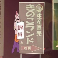 ?お遊び目安?