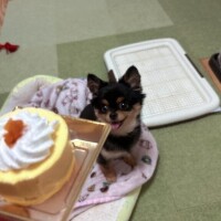 今日います?