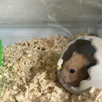 10/1から4連勤です！！