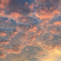 えぇー、また？?