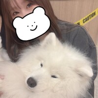 こんにちわん?