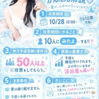 ミスヘ●ン投票解説～?