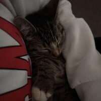 ちょっと予定ずれちゃった…??♀??