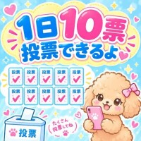１日１０票投票できるよ???【２日目】