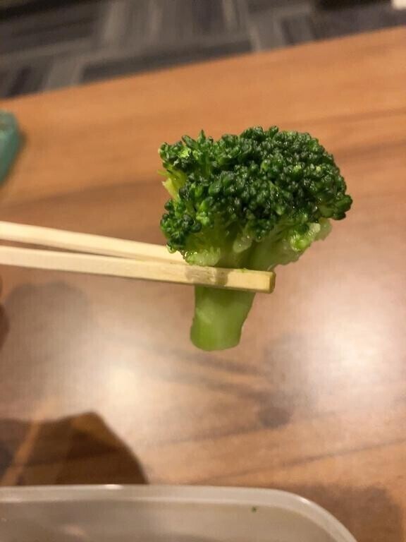 出勤しました！