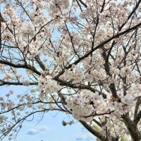 おはよお??