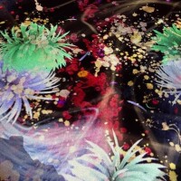 お休みごめんなさい?