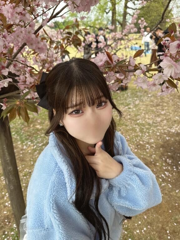 お花見行ったぁー?