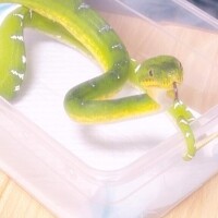 お友達