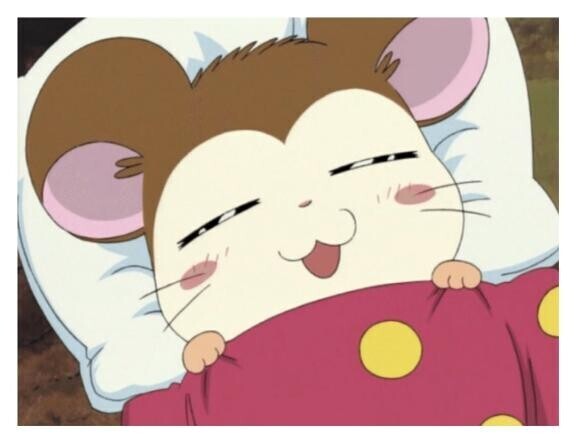 ありがと～