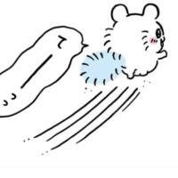 ?なにかな??