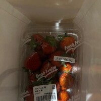 ありがとう?