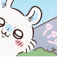 ?ひょこ??