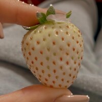 リオナちゃん13時から～?