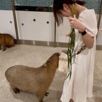 貴重な…??