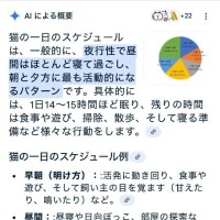 猫 一日 スケジュール   ?検索