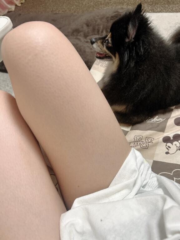 ごめんなさい?