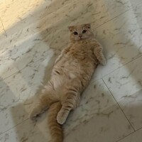 ?