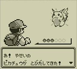 野生のおしりが飛び出してきた??