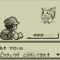 野生のおしりが飛び出してきた??