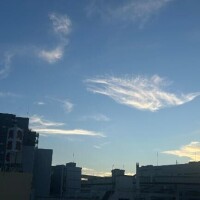 行ってる人いるのかな～