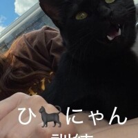 嵐の前?の